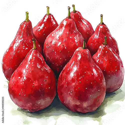 watercolor of Bunch Of Miracle Fruit, vector, isolated on a white background.
