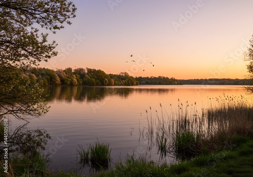 Fototapeta Naklejka Na Ścianę i Meble -  Serene lake at dusk reflecting the glowing sky with silhouetted birds