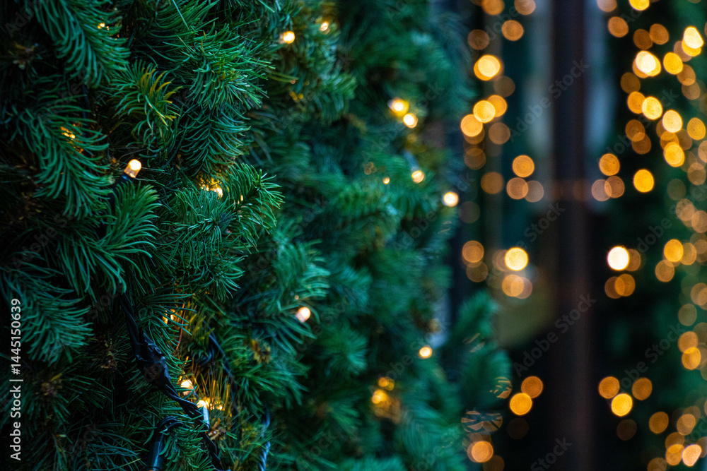 Christmas garland branches of blue pine with lighting in foreground and blurred background