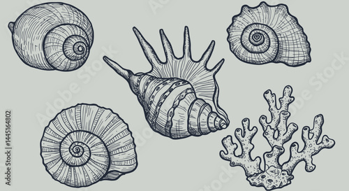 "Hand Drawn Vector Illustrations of Animals, Sea Creatures, Fruits, and Fast Food in Bold Ink Style
