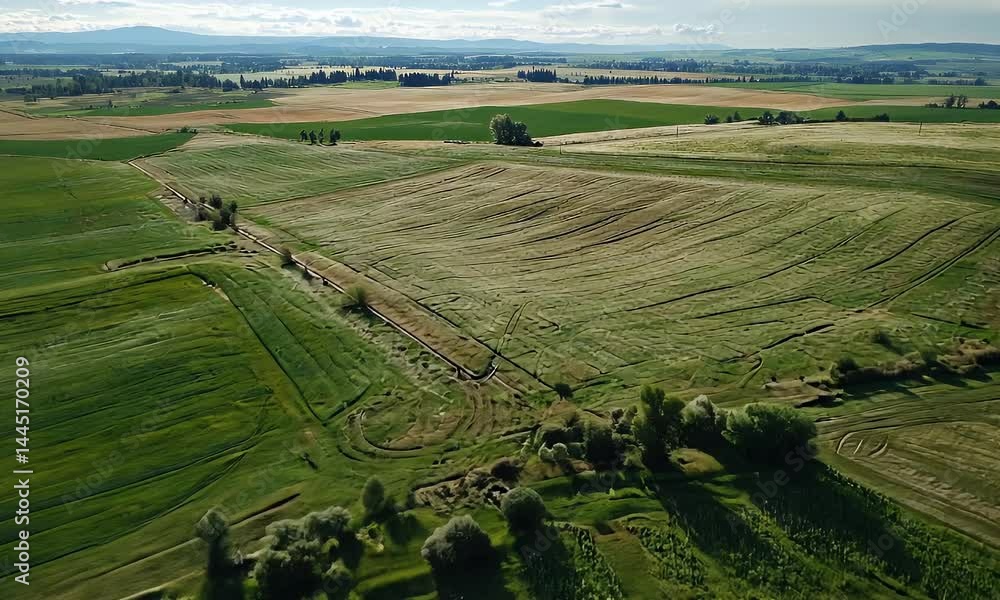 Aerial View of Verdant Farmlands and Orchards Under Sunny Sky on Bright Day Aerial View of Verdant Farmlands and Orchards Under Sunny Sky on Bright Day