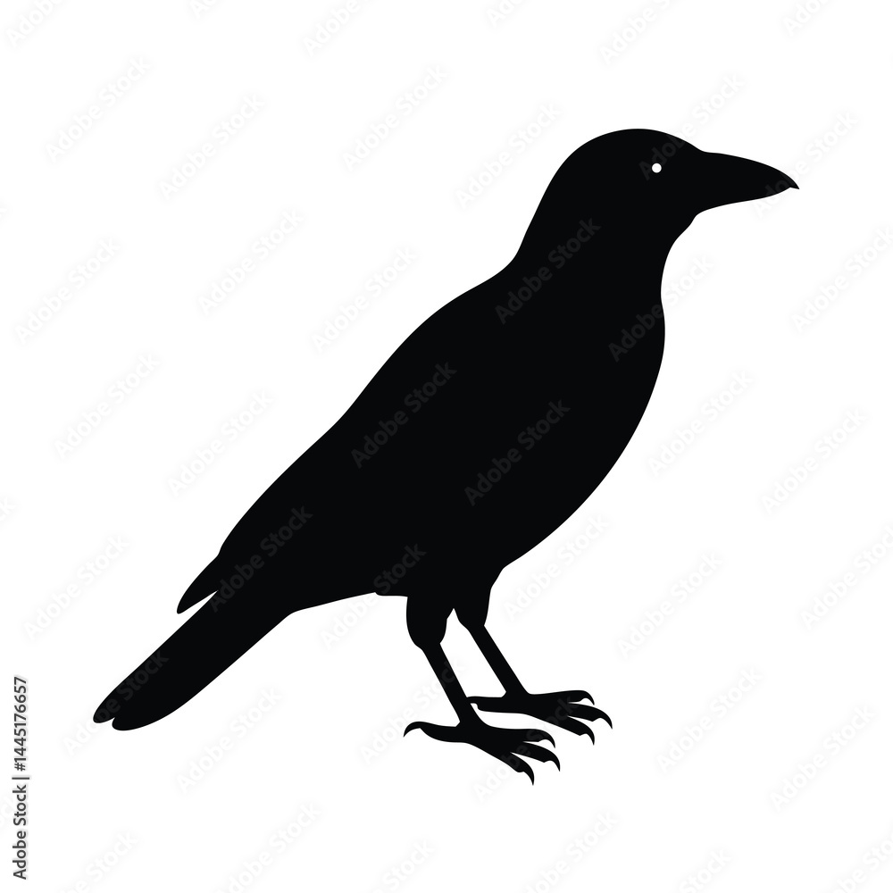 Fototapeta premium Crow Perched Silhouette Vector Clean and Striking 5