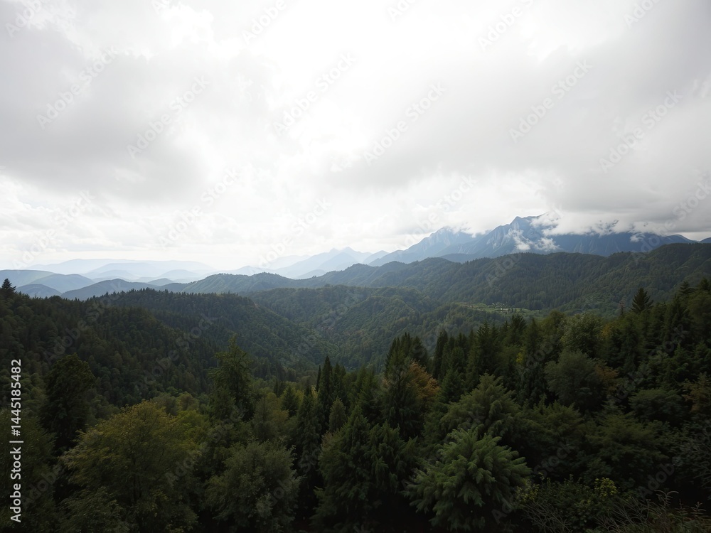 Obraz premium Tuscan Mountain Majesty: Cloudscape Over Treed Peaks