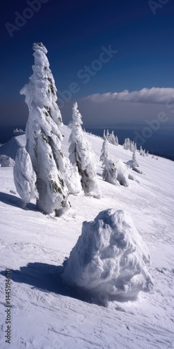 Wallpaper Mural Snowy Peaks, Frozen Trees Torontodigital.ca