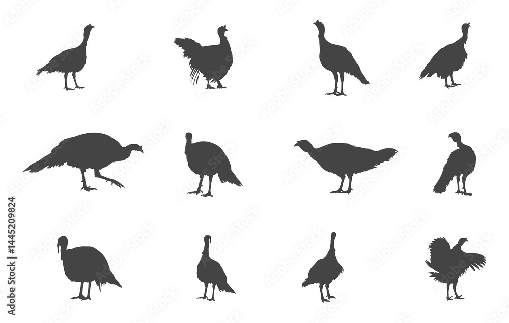Obraz premium Turkey svg, Turkey silhouettes, Turkey animal svg, Turkey animal silhouette, Turkey vector, Turkey logo.