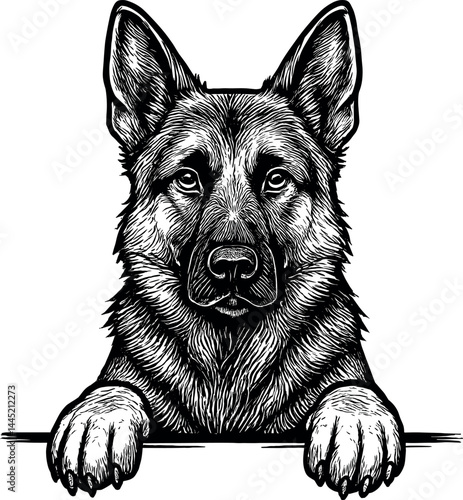 Alert German Shepherd Portrait Vector Black Silhouette Cricut Print Design Isolated on a Plain White Background