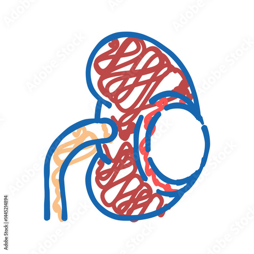 renal cyst icon doodle illustration