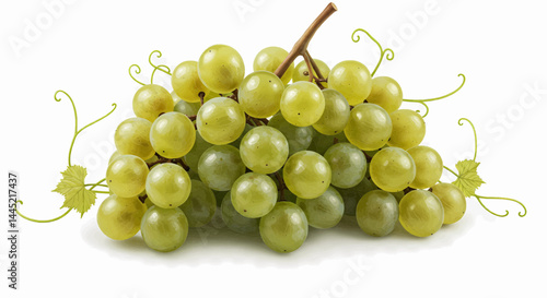 A calm and picturesque natural style photograph showing a cluster of pale green grapes with a slight translucent tint. Vector illustration