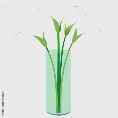 Wallpaper Mural white calla lilies arranged elegantly in a clear glass vase. Torontodigital.ca