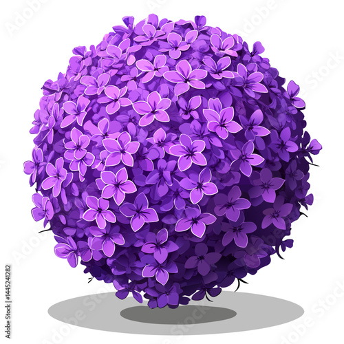 A vibrant purple ball of flowers set against a clean white background.