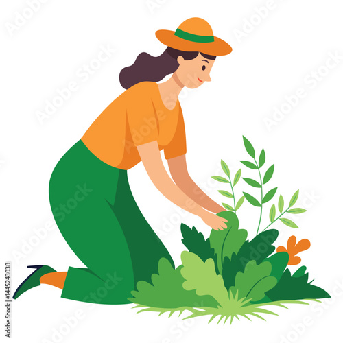 Woman harvesting wild herbs safely on white background vector illustration