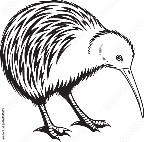 Kiwi bird silhouette vector style