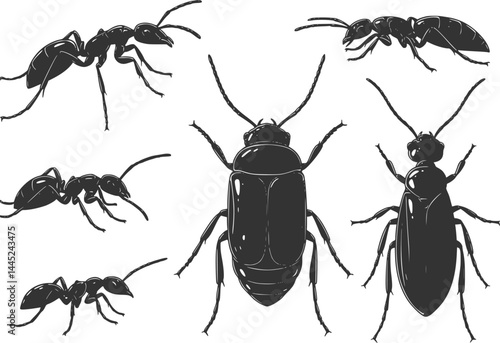 Insect Insects ant ants emmet pismire banner Vector, vector set silhouette
