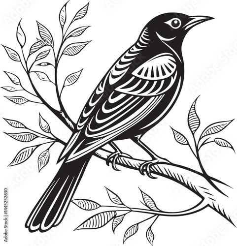 Montserrat Oriole bird silhouette