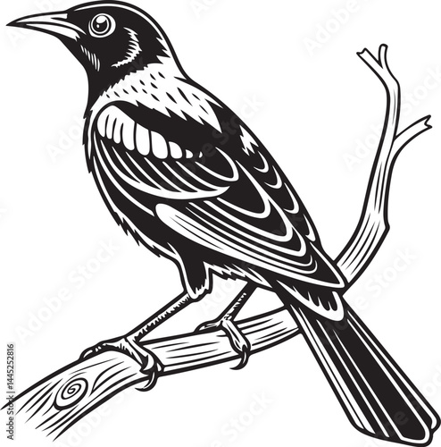 Montserrat Oriole bird silhouette