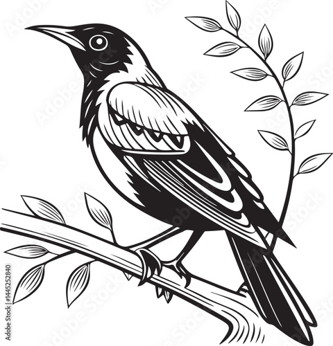 Montserrat Oriole bird silhouette