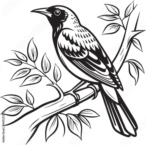 Montserrat Oriole bird silhouette