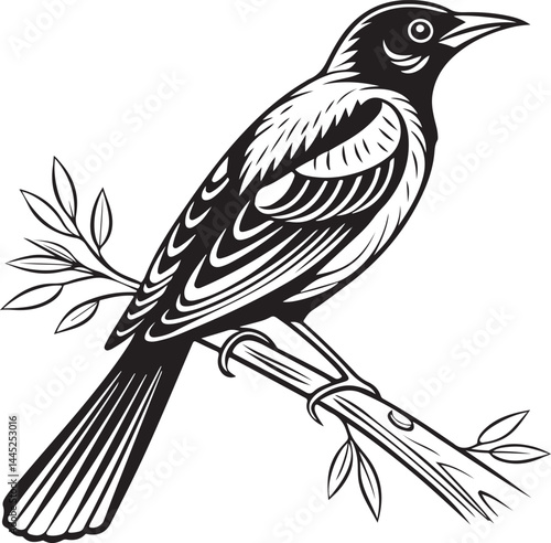 Montserrat Oriole bird silhouette