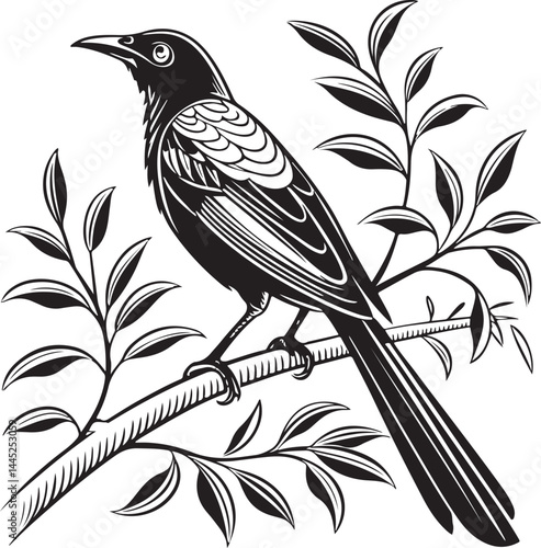 Montserrat Oriole bird silhouette
