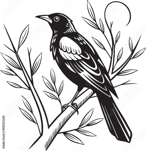 Montserrat Oriole bird silhouette