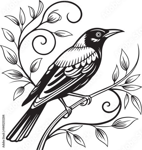 Montserrat Oriole bird silhouette