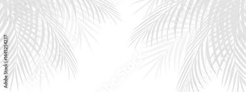 Tropical palm leaf shadow in the corner, creating a soft overlay effect. Transparent background with coconut leaves for a seasonal product presentation design.
