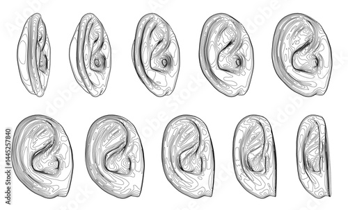 A series of drawings of ears in different positions. The drawings are all in black and white. The mood of the images is somewhat somber and serious