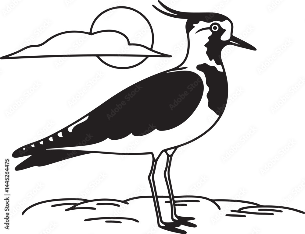 Fototapeta premium northern lapwing bird silhouette printable design