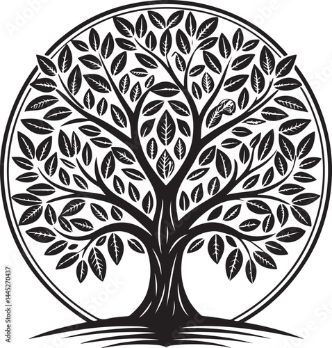 olive tree vector illustration printable png