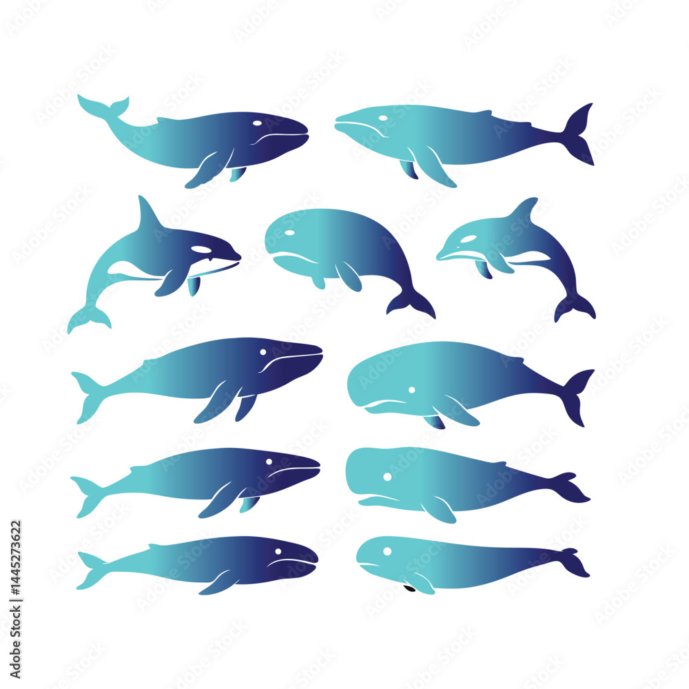 Blue Whale Vector Illustration – Ocean Animal Graphic Design Blue Whale Vector Illustration – Ocean Animal Graphic Design