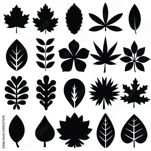 Grid of Stylized Black Leaf Silhouettes – Variety of Foliage Shapes and Types