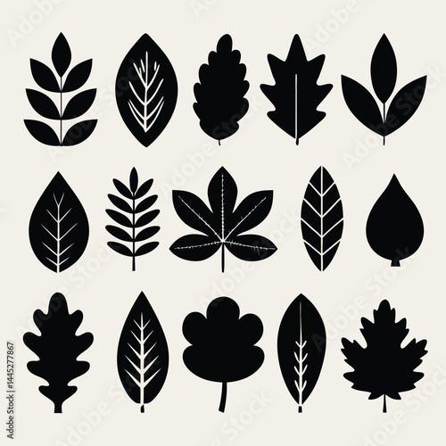 Grid of Stylized Black Leaf Silhouettes – Variety of Foliage Shapes and Types