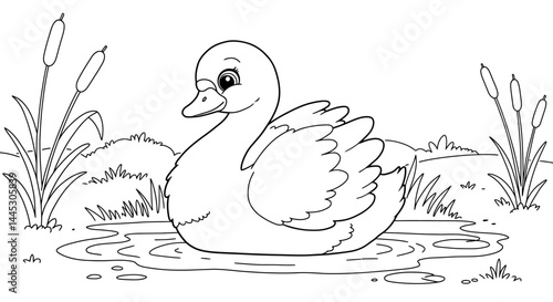Beautiful Baby Swan Cygnets Character for Kids Fun Pond Life Coloring