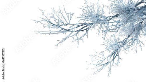 Wallpaper Mural Frost-Covered Tree Branches with Ice Crystals Transparent Background Torontodigital.ca