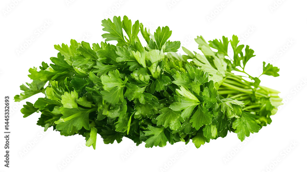 Fresh Green Parsley on White Background - Perfect for Culinary Designs Fresh Green Parsley on White Background - Perfect for Culinary Designs