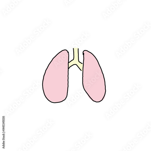 simple lung