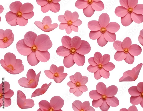 Pink Flower Pattern, Floral Background
