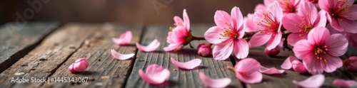 Obraz na płótnie Rustic cherry blossom wood table, pink petals scattered , surface, cherry blossom w salonie