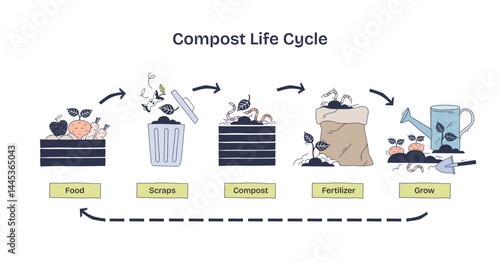 Compost life cycle shows food to fertilizer process, transparent background. Key objects, food scraps, compost bin, watering can. Doodle style diagram.