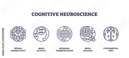 Cognitive neuroscience features neural connectivity, brain activity, and neuronal communication, symbolizing brain analysis, transparent background. Outline icons set