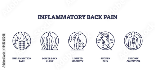 Inflammatory back pain is depicted with icons showing spine inflammation, limited mobility, and sudden pain, transparent background. Outline icons set.