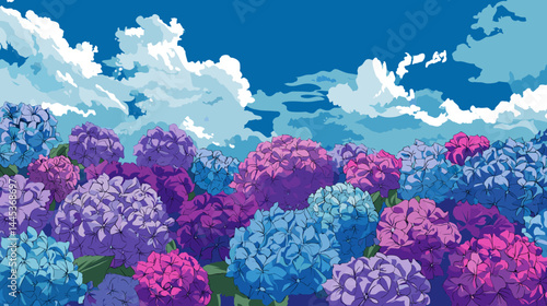 青空とカラフルな紫陽花のベクターイラスト