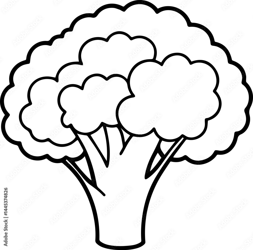 broccoli outline vector illustration broccoli outline vector illustration