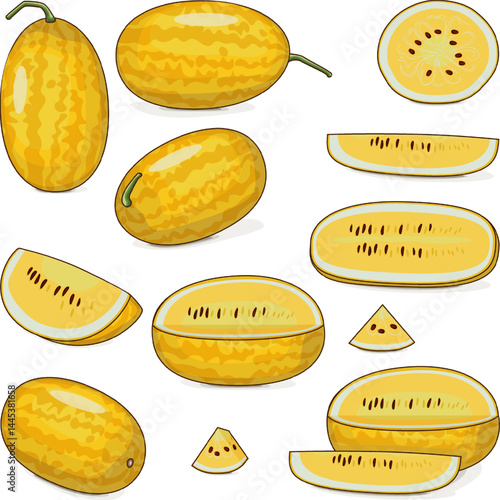 Set of Gold in Gold Watermelon. Citrullus lanatus. Fruits and vegetables. Clipart. Isolated vector illustration.