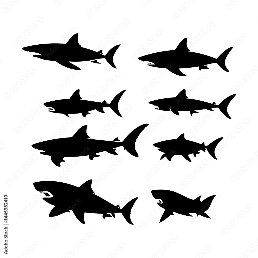 Fototapeta premium Shark Outline Set on White Background