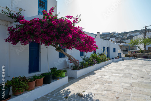 Traditional building in Chora, Ios island, Greece. Blue windows, bougainvillea flowers
