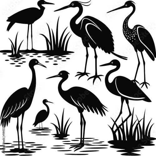 Silhouettes of Herons and Egrets in Serene Wetlands