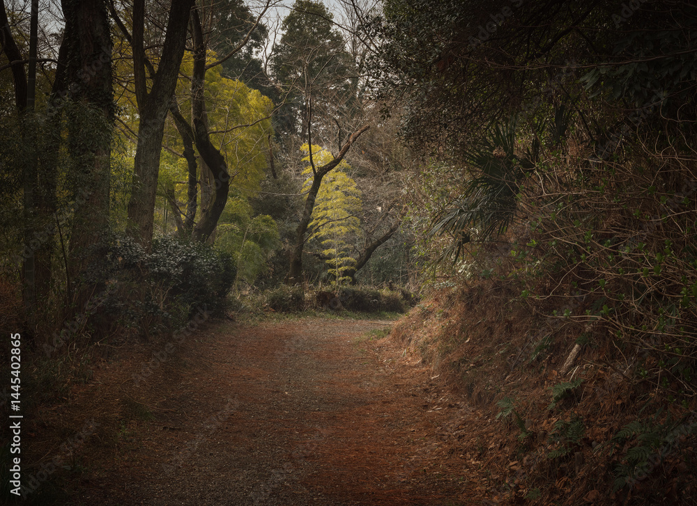 Naklejka premium When the sun shines