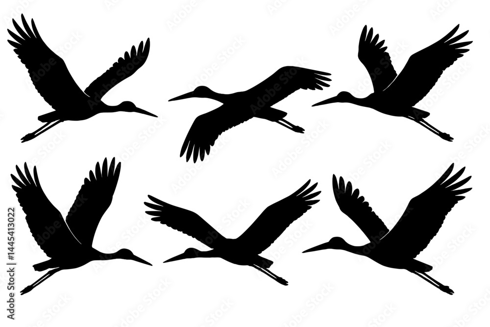 Fototapeta premium Stylized vector icon of flying birds in various poses against a white background illustrating nature and wildlife