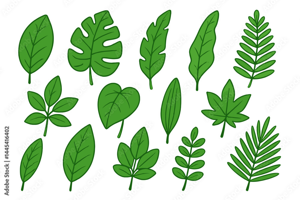 Vector icon set featuring various green leaves in different shapes and sizes for decorative and illustrative purposes Vector icon set featuring various green leaves in different shapes and sizes for decorative and illustrative purposes